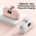 Mini Pocket Charger